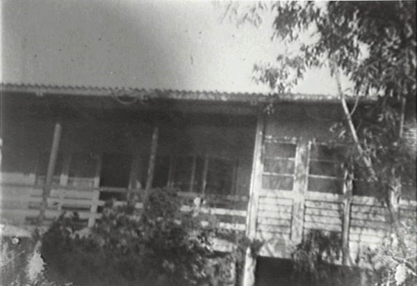 Darwin house