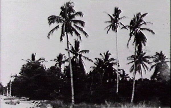 Mindil Beach, 1940-41