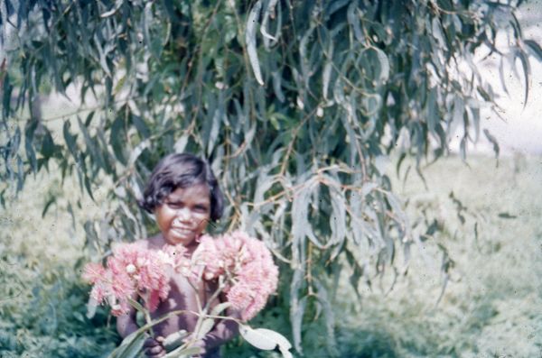 Aboriginal girl with pink gum blossom