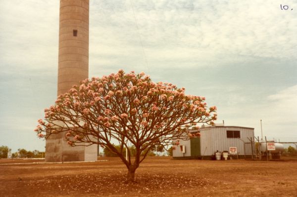 Cape Don lighthouse